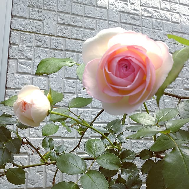 Bienvenueさんの部屋