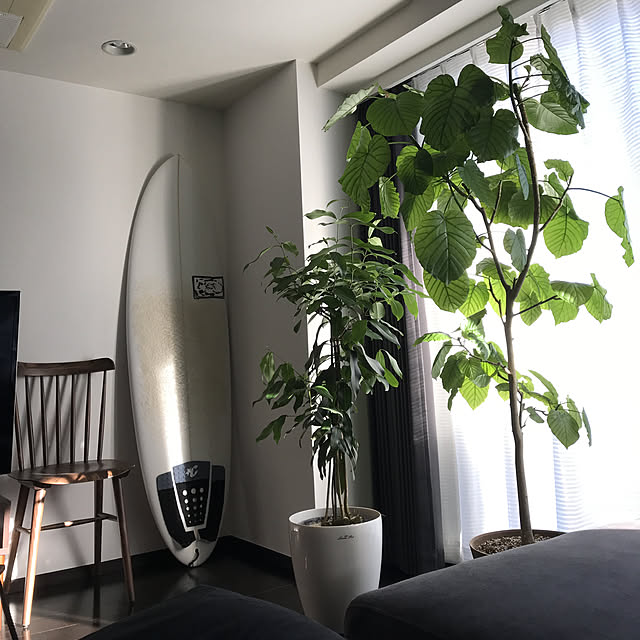 ma1118yuさんの実例写真