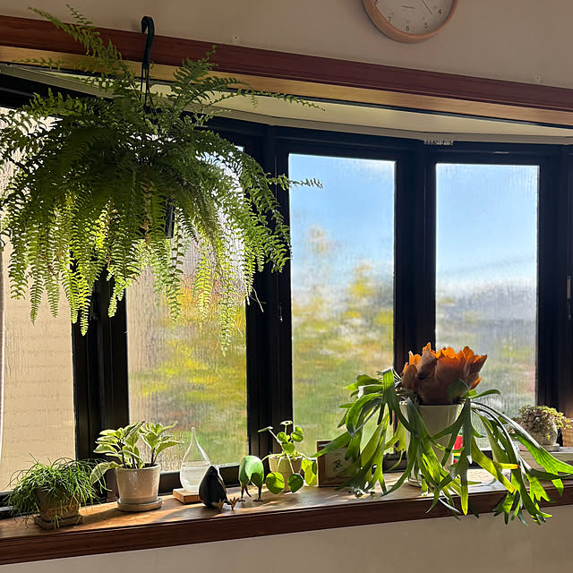 timtamさんの実例写真