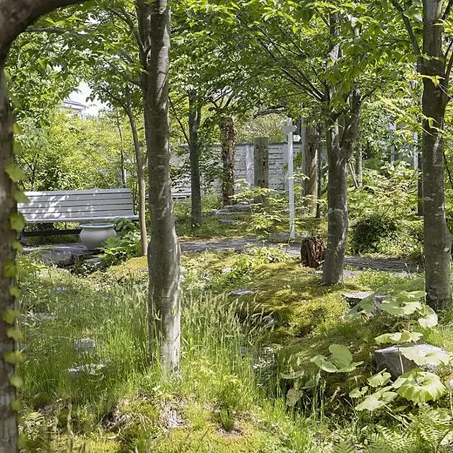 Aether_Gardenさんの実例写真