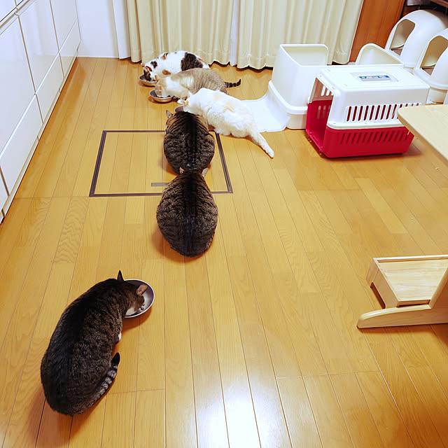 nachiさんの実例写真