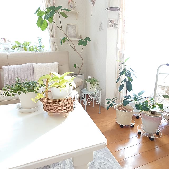 fleur-mamanさんの実例写真