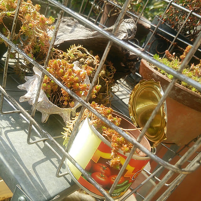 denkoさんの実例写真