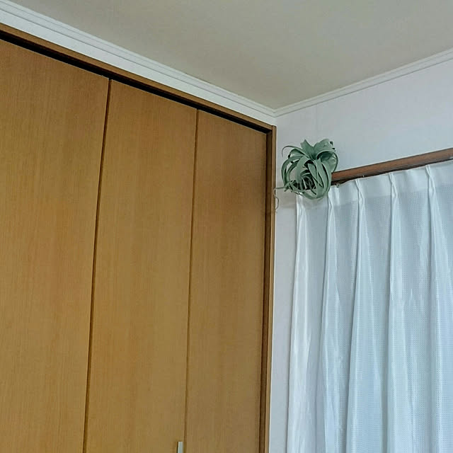 k202128ttさんの実例写真