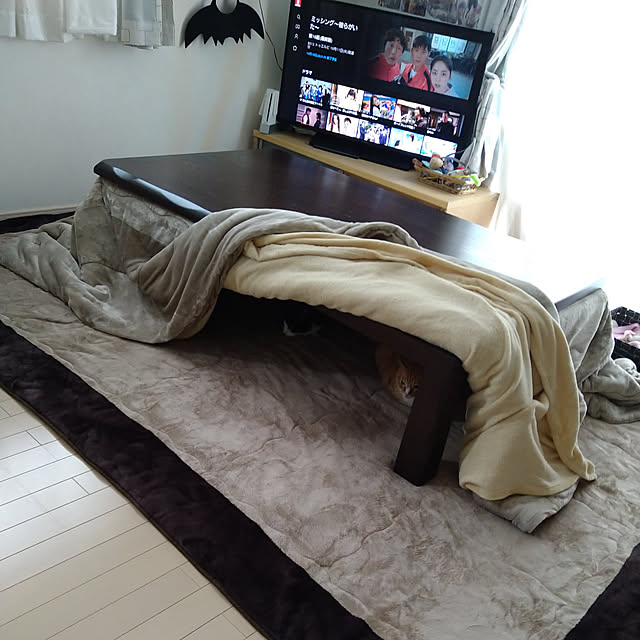 koromaroさんの実例写真