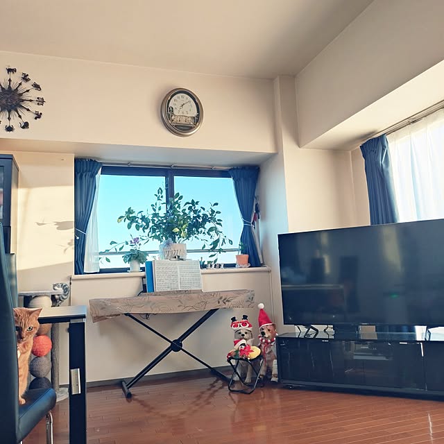 NOAHさんの実例写真