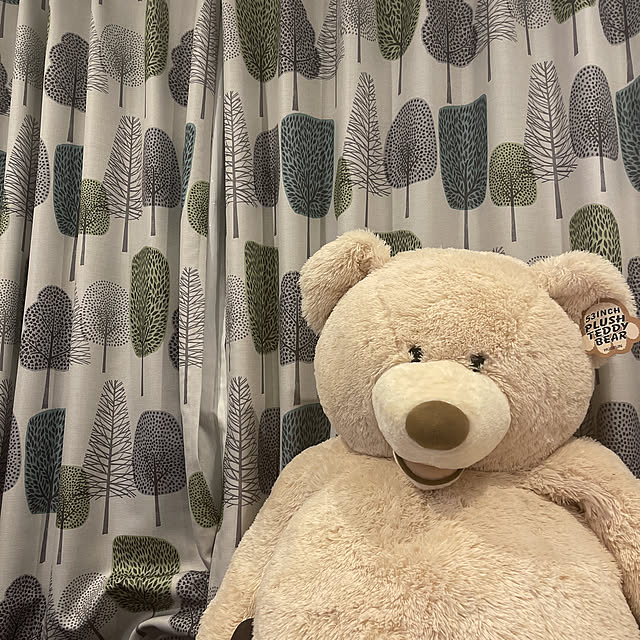 ANNAさんの実例写真