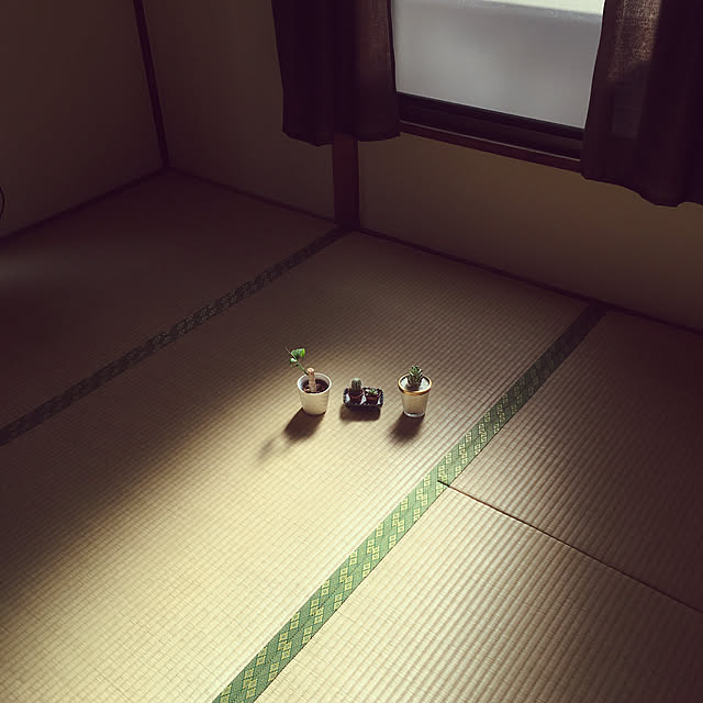 mizunokiさんの実例写真