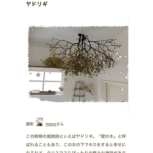 mocoさんの実例写真