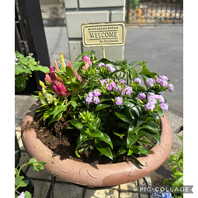 Smilkazuさんの部屋