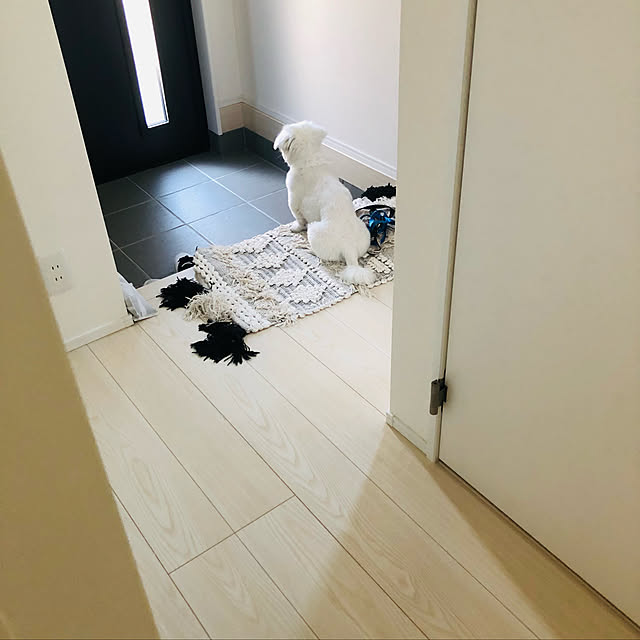 実例写真