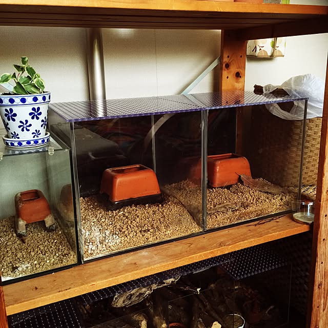 drgn1さんの実例写真