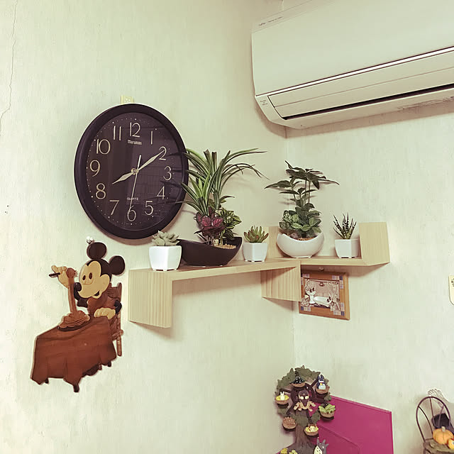 kami_haさんの実例写真