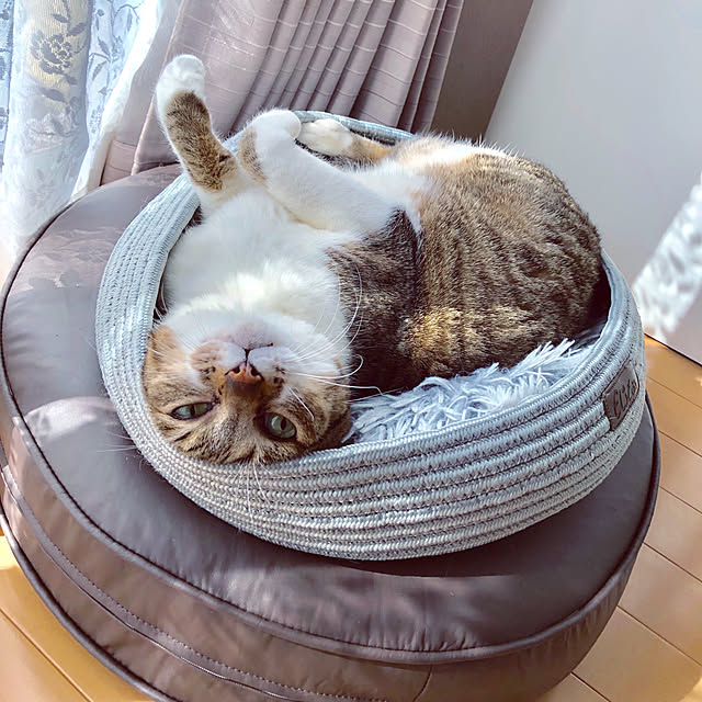nnmmさんの実例写真