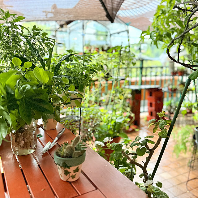 Aqettyさんの部屋