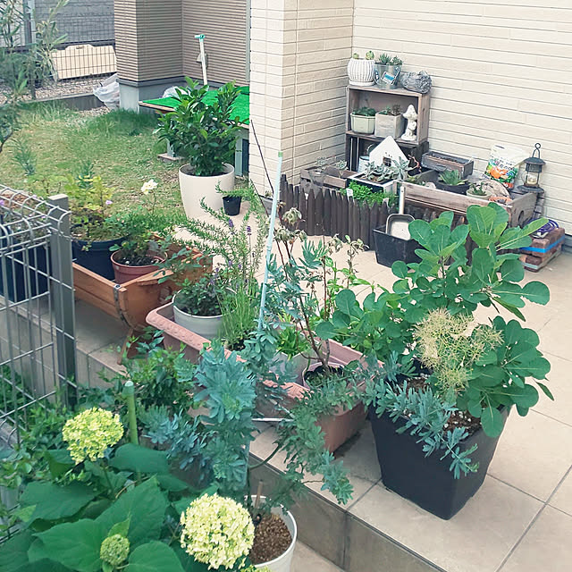 実例写真