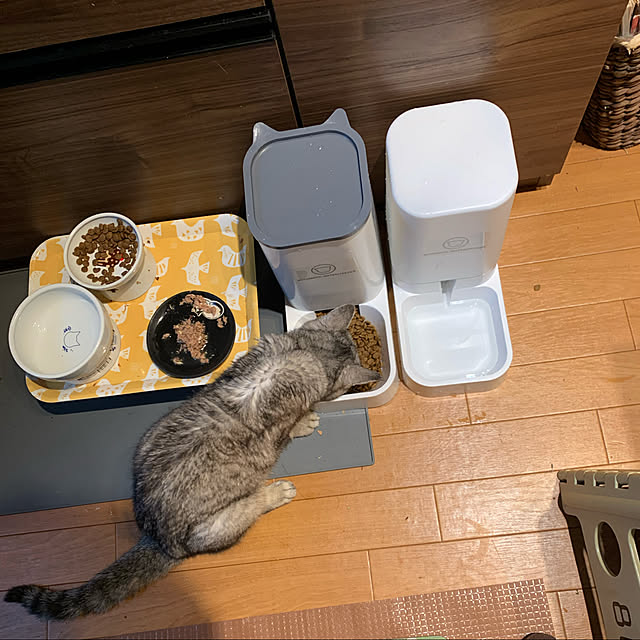 実例写真
