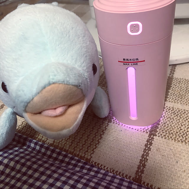rainさんの実例写真