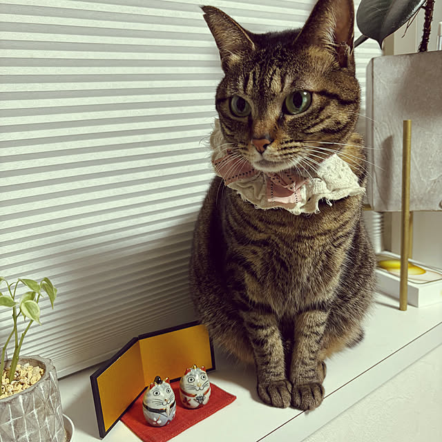 masamasaさんの実例写真