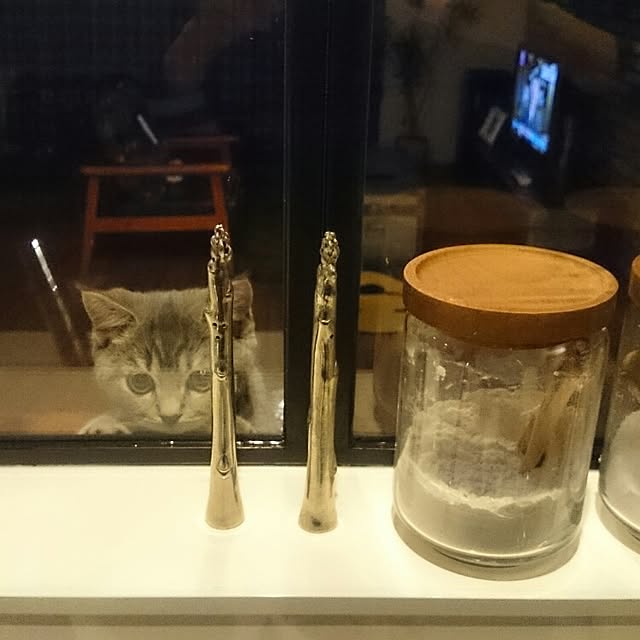 tamaさんの実例写真