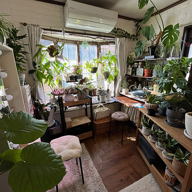 dainaoreiさんの部屋