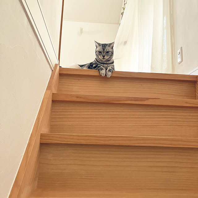 wahahaさんの部屋