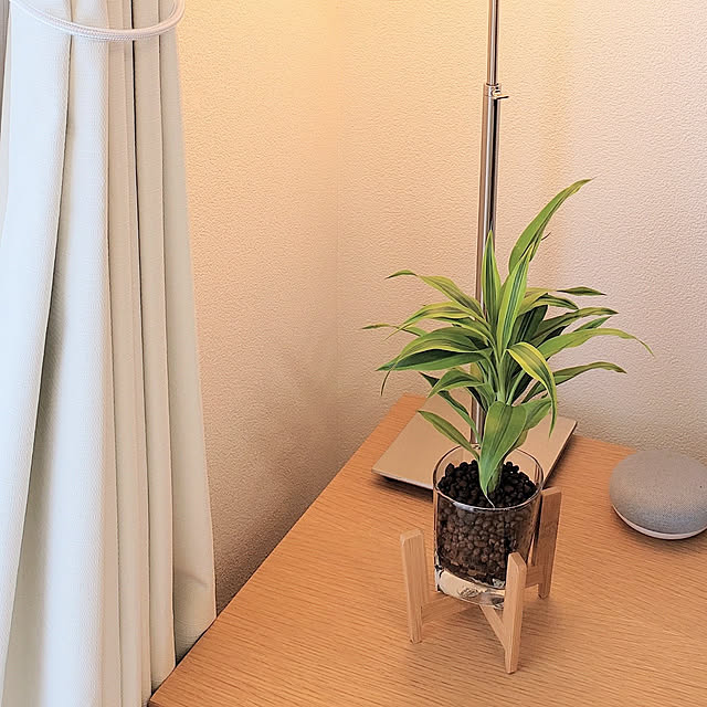 dearlife_homeさんの実例写真
