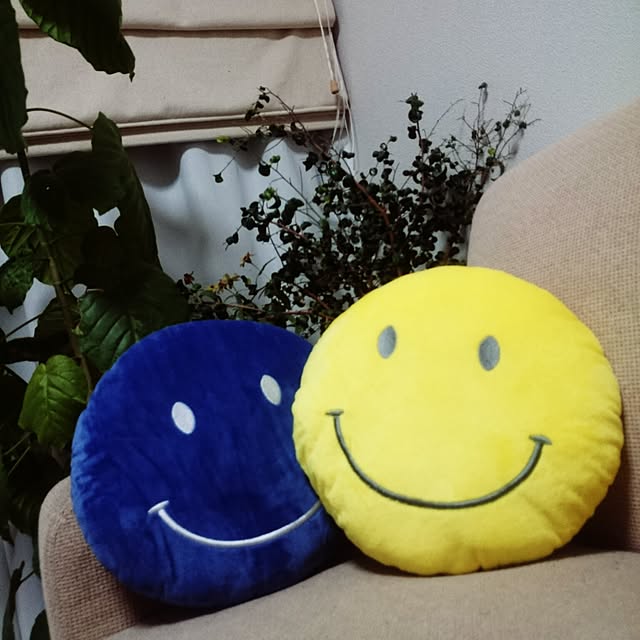 asaminkoさんの実例写真