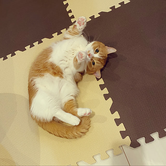 KotarouKunさんの実例写真