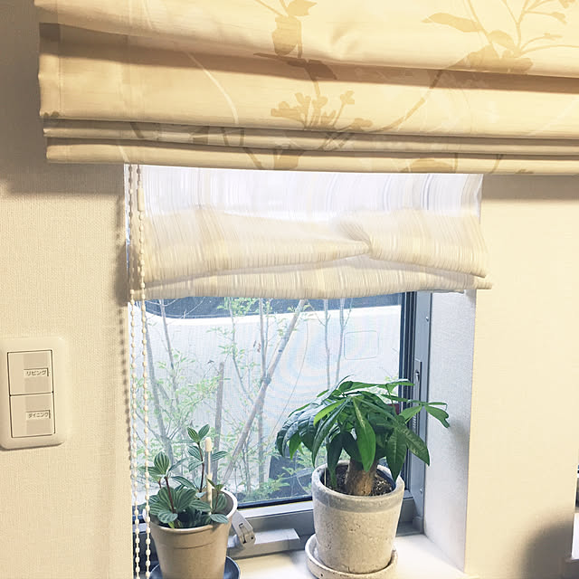tyobiさんの実例写真