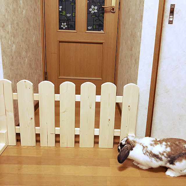 snowさんの実例写真