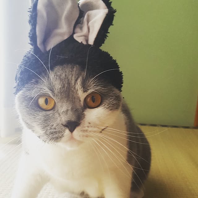 rhuさんの実例写真