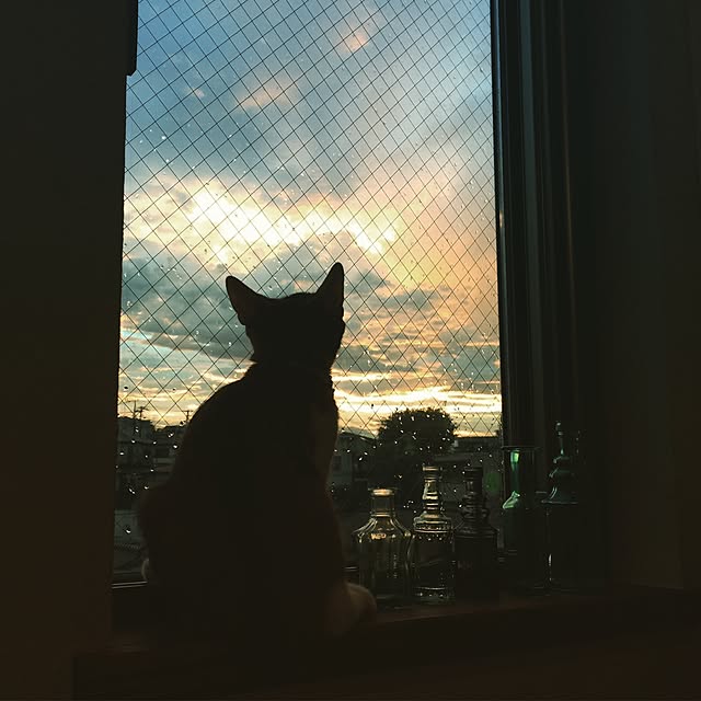 y.さんの実例写真