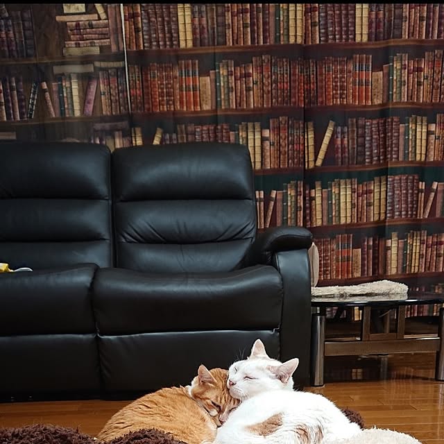NOAHさんの部屋
