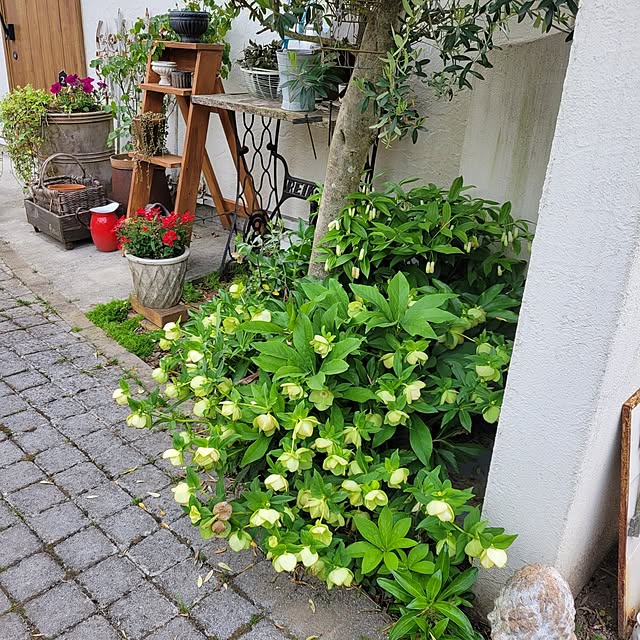 reireiさんの実例写真