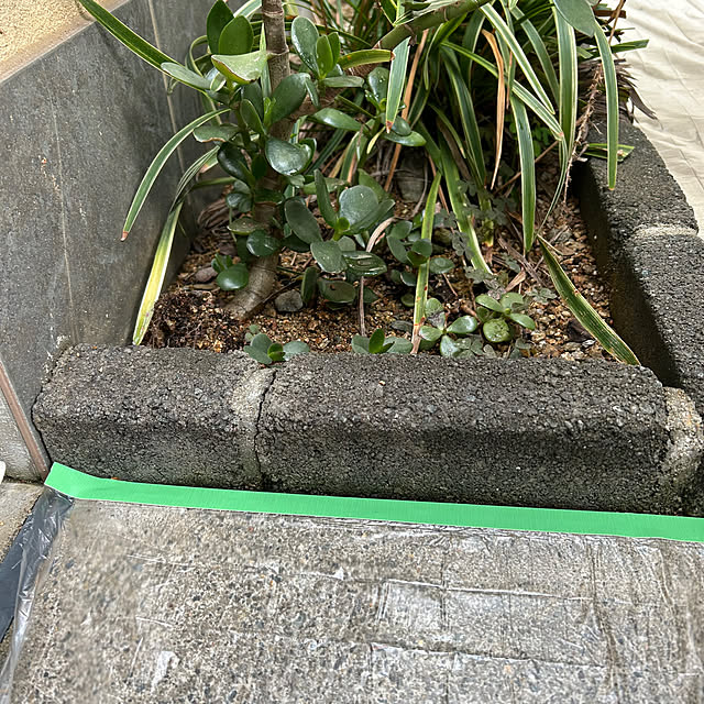 Momooさんの部屋