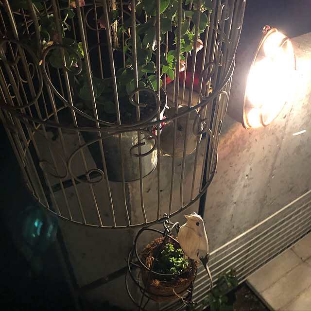 REE1129さんの実例写真