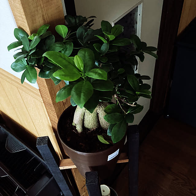 Tsuyoshiさんの部屋
