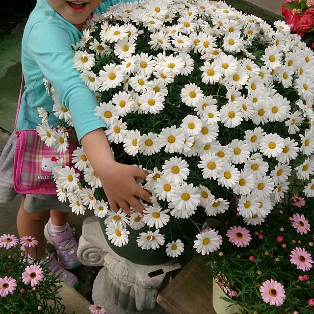 yuzukoさんの実例写真