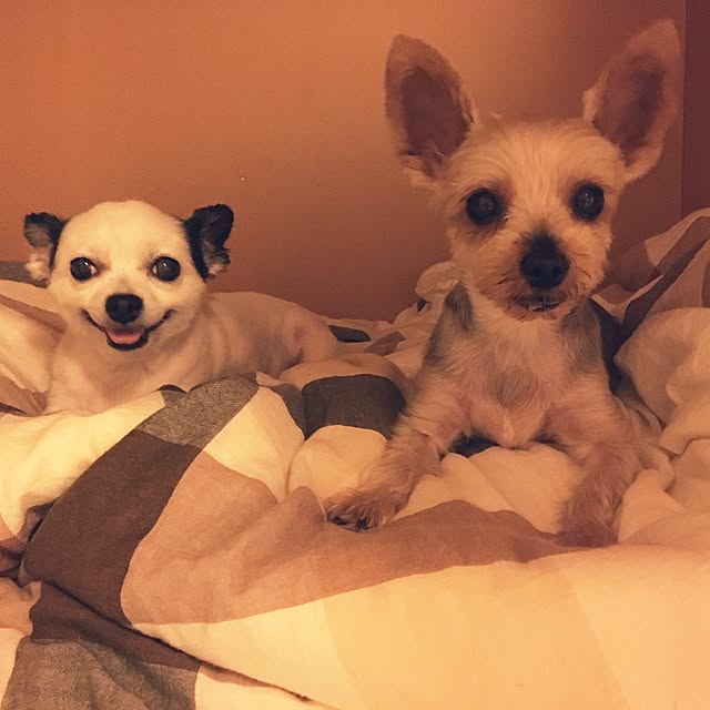ohanaさんの実例写真