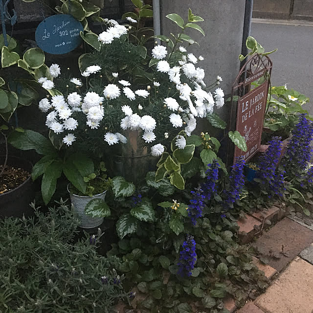 mamaさんの実例写真
