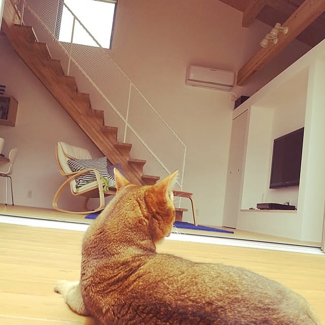 YUDYさんの実例写真