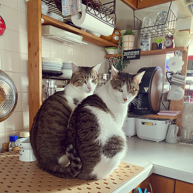 Lufuさんの実例写真