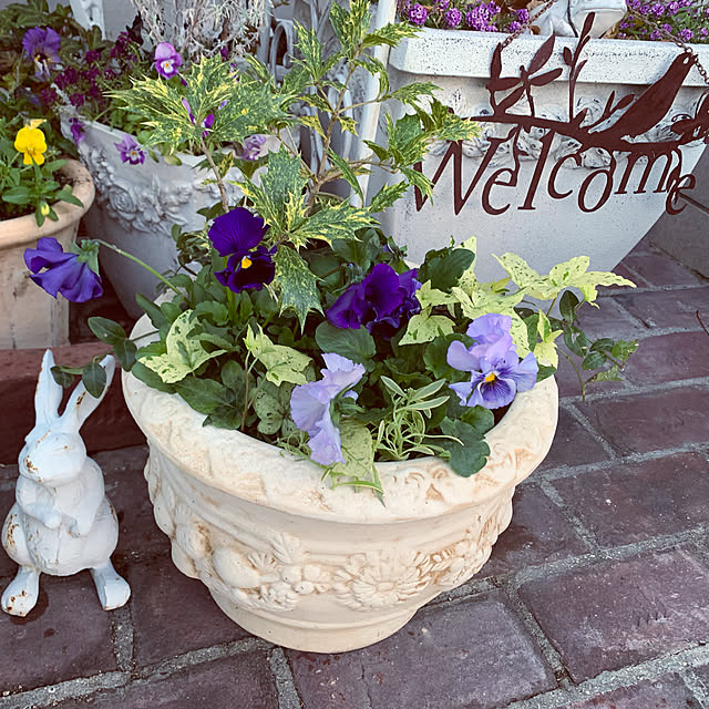 AYUKOさんの実例写真