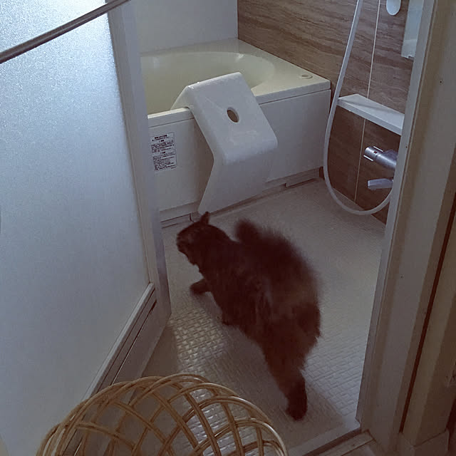 mikomaruさんの実例写真