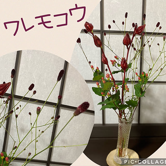 Smilkazuさんの実例写真