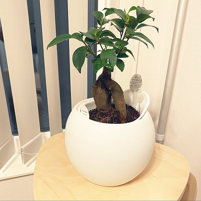 naoさんの実例写真