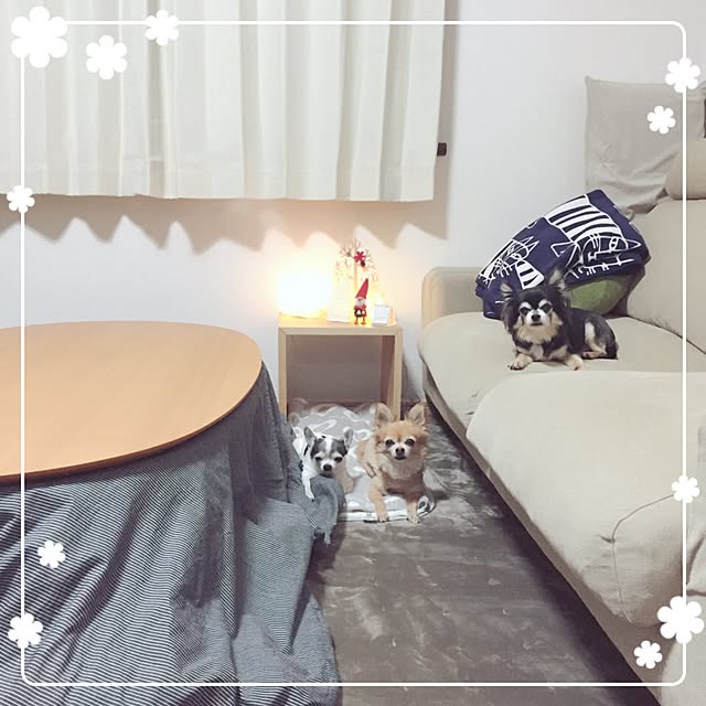 Emiさんの実例写真