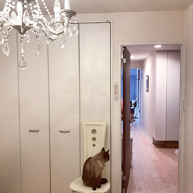 dodoさんの実例写真