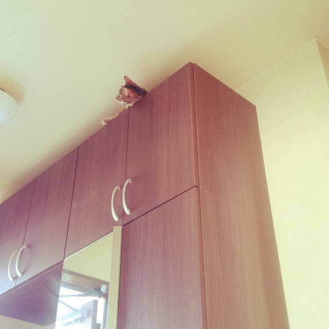 fuku-fuku-fuさんの実例写真